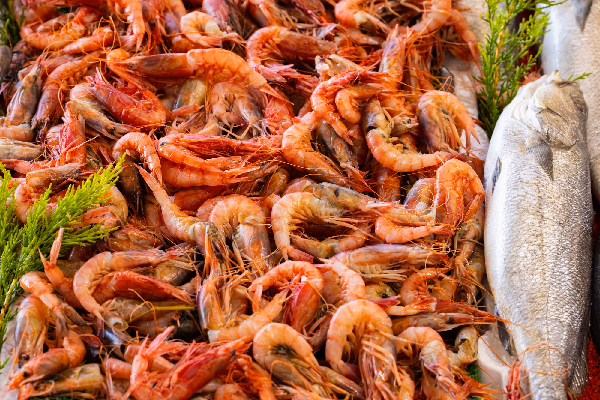 Mastering the Art of Baking: Techniques, Tips, and Delicious Recipes Mastering the Art of Baking: Techniques, Tips, and Delicious Recipes